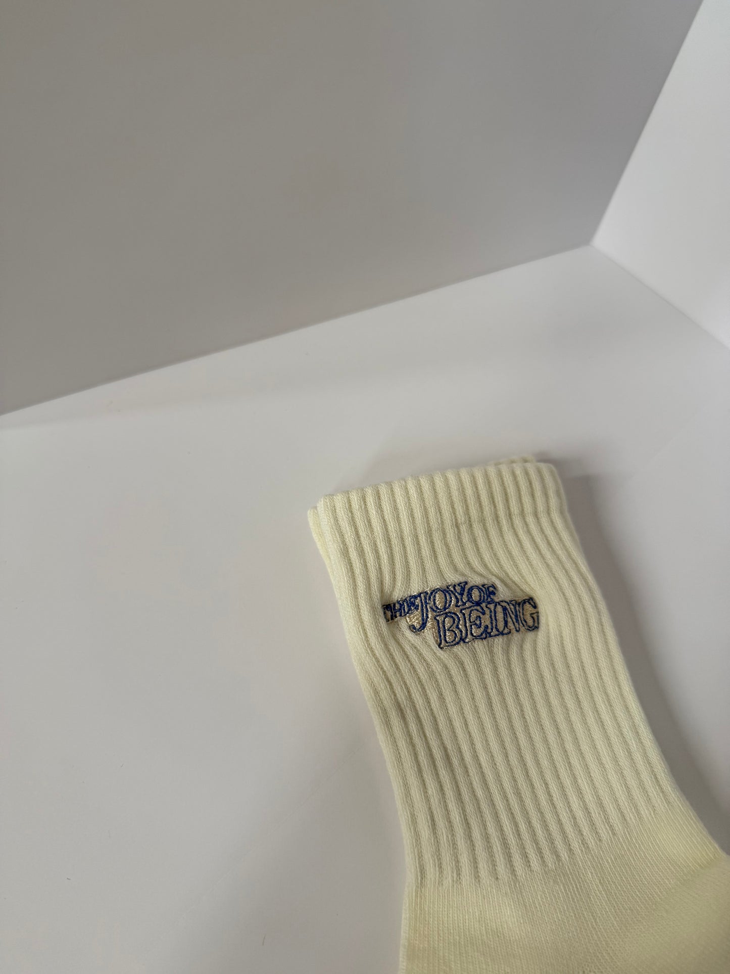 HOM X ALAN8D grip socks